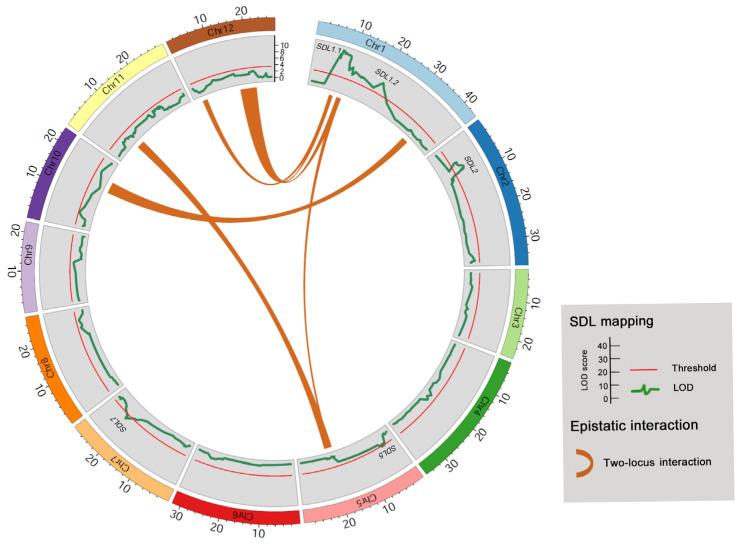 https://cdn.ncbi.nlm.nih.gov/pmc/blobs/5e8e/10671494/7081a6727d63/genes-14-02086-g004.jpg