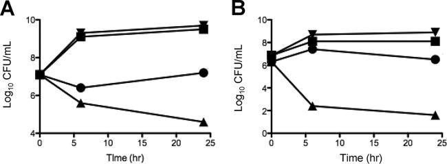 https://cdn.ncbi.nlm.nih.gov/pmc/blobs/5e8e/5278754/19766979694f/zac0021758880005.jpg