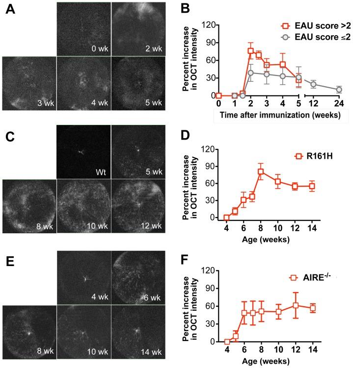 https://cdn.ncbi.nlm.nih.gov/pmc/blobs/5e90/3756070/9d675150baa9/pone.0072161.g004.jpg