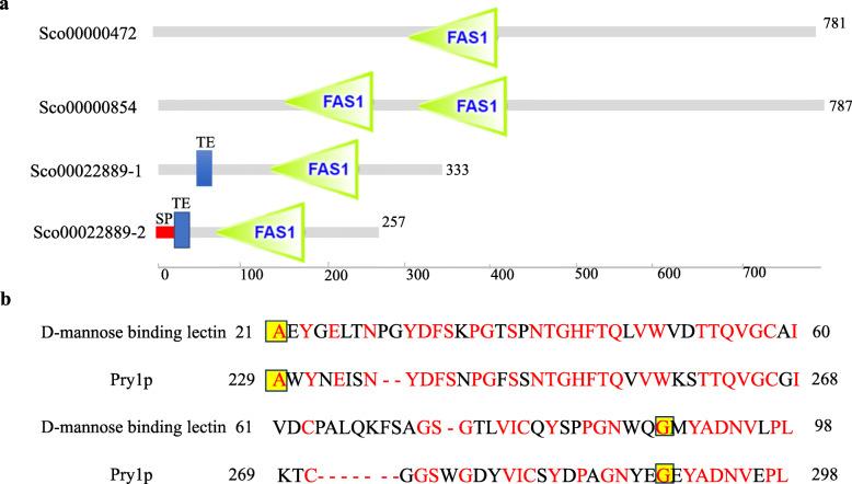 https://cdn.ncbi.nlm.nih.gov/pmc/blobs/5e91/7590803/0dbdec821558/12864_2020_7142_Fig6_HTML.jpg