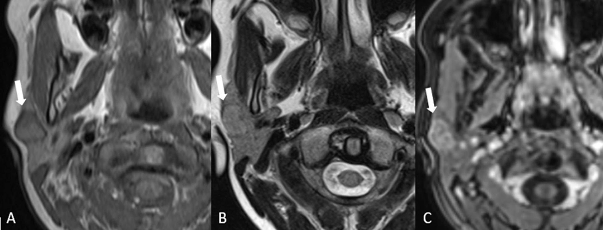 https://cdn.ncbi.nlm.nih.gov/pmc/blobs/5e91/9641923/a0e4826cad97/12880_2022_924_Fig9_HTML.jpg