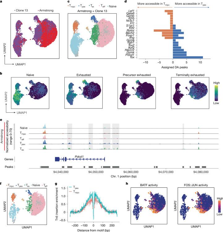 https://cdn.ncbi.nlm.nih.gov/pmc/blobs/5e94/12003159/9f779ef19abe/41586_2024_8451_Fig4_HTML.jpg