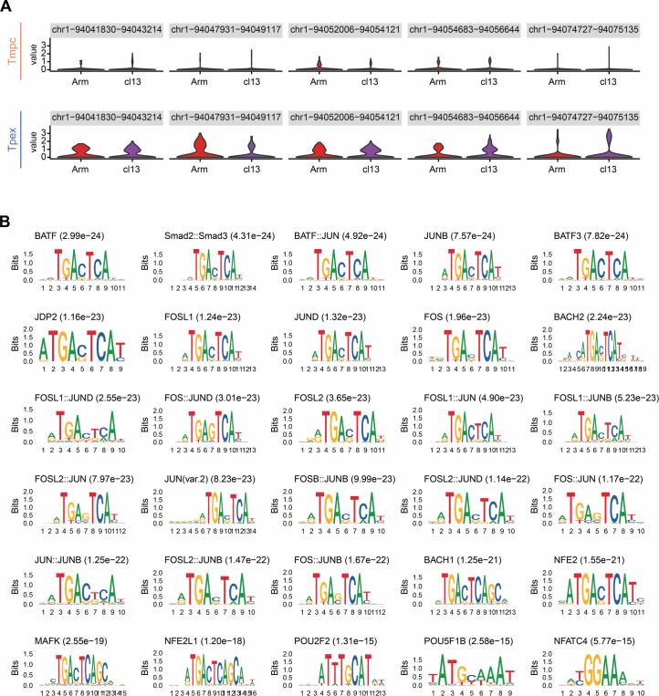 https://cdn.ncbi.nlm.nih.gov/pmc/blobs/5e94/12003159/a41128b850e6/41586_2024_8451_Fig11_ESM.jpg