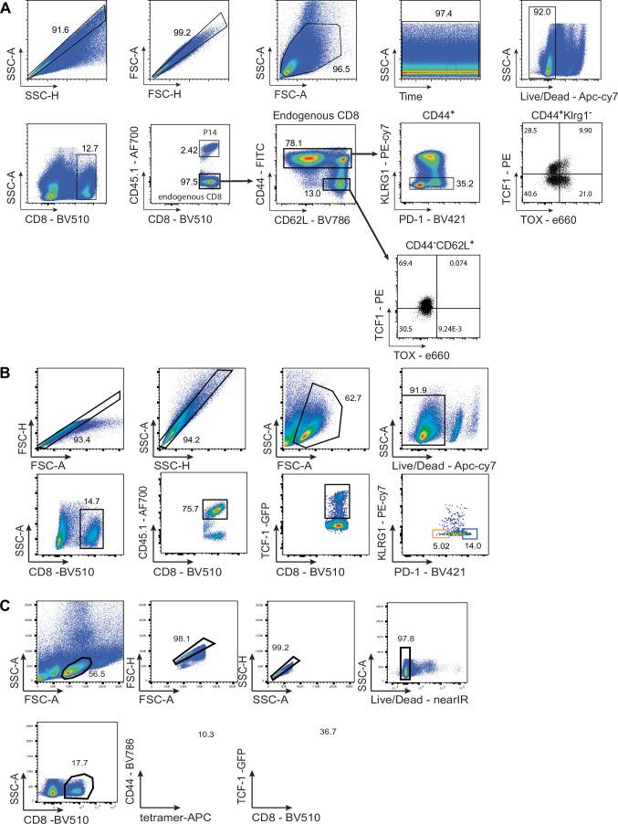 https://cdn.ncbi.nlm.nih.gov/pmc/blobs/5e94/12003159/d2785b2e4d7c/41586_2024_8451_Fig10_ESM.jpg