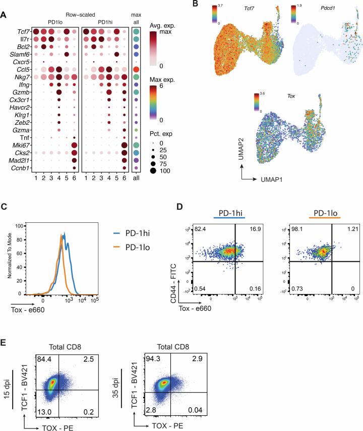 https://cdn.ncbi.nlm.nih.gov/pmc/blobs/5e94/12003159/ef2433e315af/41586_2024_8451_Fig12_ESM.jpg