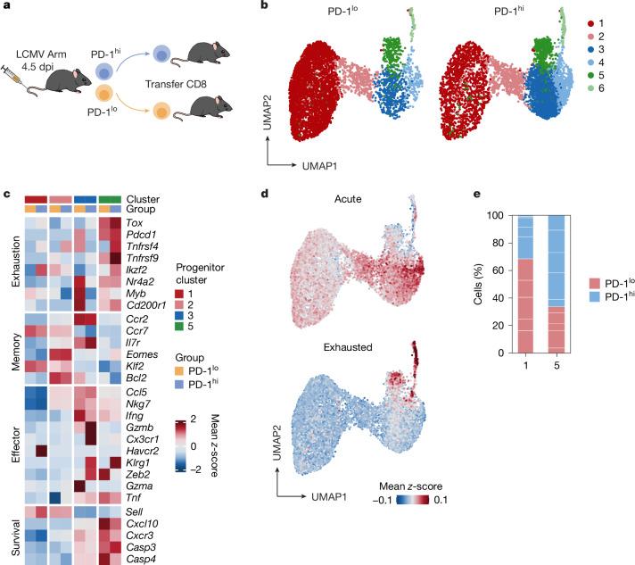 https://cdn.ncbi.nlm.nih.gov/pmc/blobs/5e94/12003159/ff1437bbd64d/41586_2024_8451_Fig6_HTML.jpg