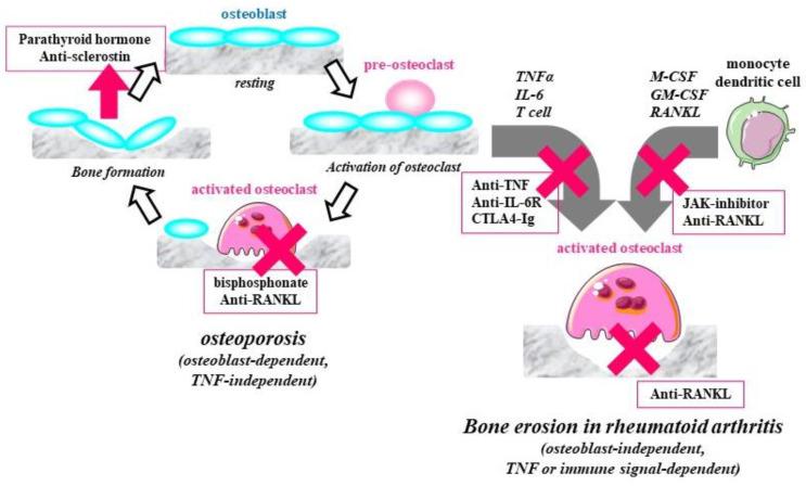 https://cdn.ncbi.nlm.nih.gov/pmc/blobs/5e95/8002542/16c139755d38/jcm-10-01241-g003.jpg