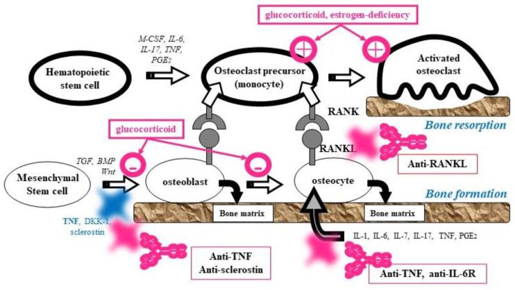 https://cdn.ncbi.nlm.nih.gov/pmc/blobs/5e95/8002542/edf513eaa92f/jcm-10-01241-g001.jpg