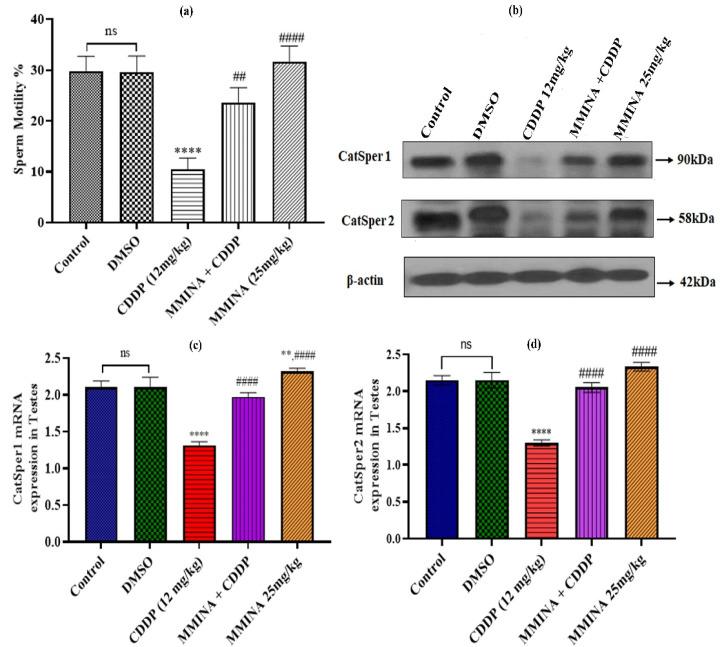 https://cdn.ncbi.nlm.nih.gov/pmc/blobs/5e96/9598787/91c6ba1f4e64/antioxidants-11-02063-g003.jpg