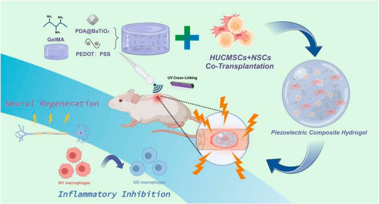 https://cdn.ncbi.nlm.nih.gov/pmc/blobs/5e97/12088769/974b1d5898c8/gr1.jpg