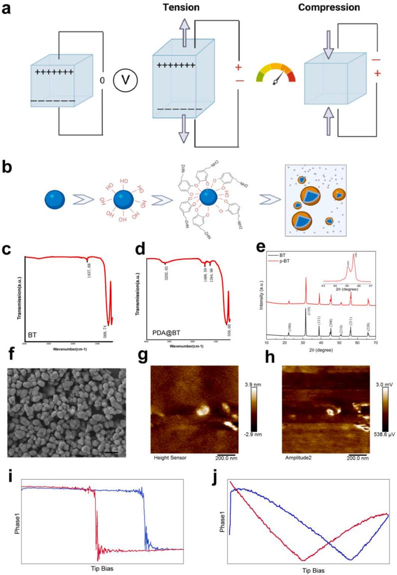 https://cdn.ncbi.nlm.nih.gov/pmc/blobs/5e97/12088769/c15f89d42287/gr2.jpg