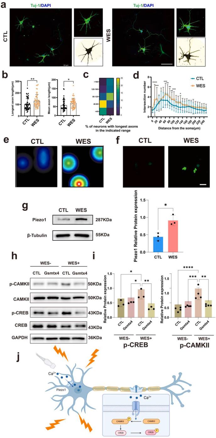 https://cdn.ncbi.nlm.nih.gov/pmc/blobs/5e97/12088769/d91f2ad16886/gr7.jpg
