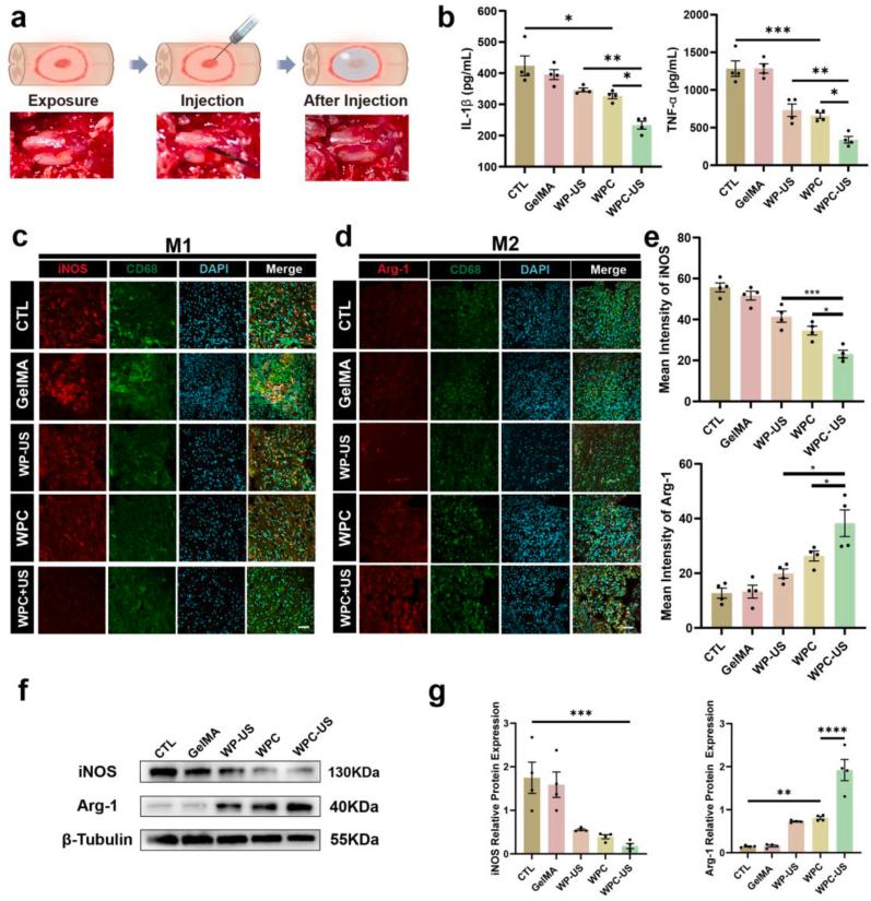 https://cdn.ncbi.nlm.nih.gov/pmc/blobs/5e97/12088769/eabf39b36c98/gr8.jpg