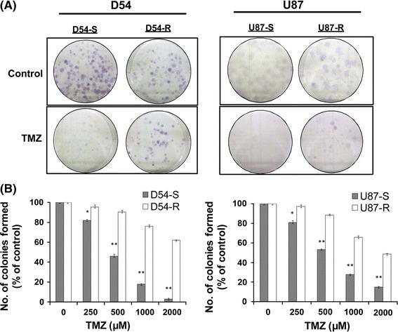 https://cdn.ncbi.nlm.nih.gov/pmc/blobs/5e97/3434886/dc987cdf3d17/11060_2012_923_Fig1_HTML.jpg