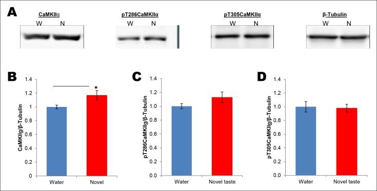 https://cdn.ncbi.nlm.nih.gov/pmc/blobs/5e97/4703067/3e2818c63ca1/elife-07582-fig2-figsupp2.jpg