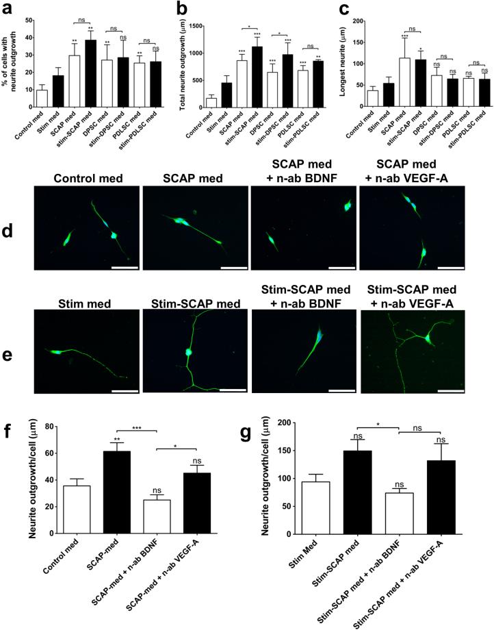 https://cdn.ncbi.nlm.nih.gov/pmc/blobs/5e97/5626751/91476c93b32a/41598_2017_12969_Fig4_HTML.jpg
