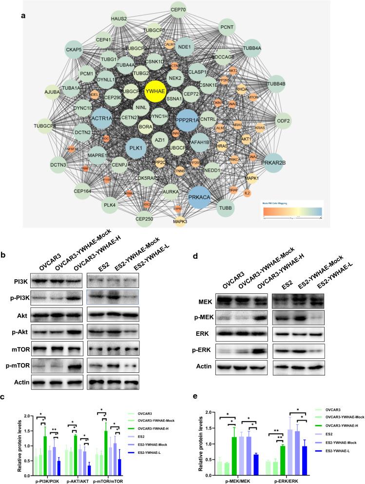 https://cdn.ncbi.nlm.nih.gov/pmc/blobs/5e97/8190858/5038e462c7a4/12935_2021_1989_Fig7_HTML.jpg