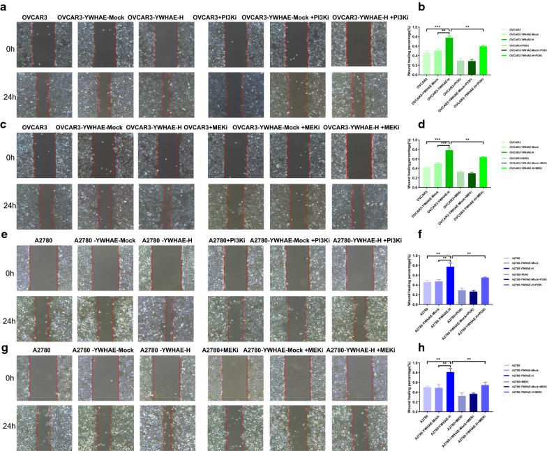 https://cdn.ncbi.nlm.nih.gov/pmc/blobs/5e97/8190858/6b0dd604eaea/12935_2021_1989_Fig9_HTML.jpg