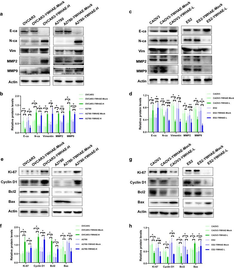 https://cdn.ncbi.nlm.nih.gov/pmc/blobs/5e97/8190858/aca6bea07155/12935_2021_1989_Fig4_HTML.jpg