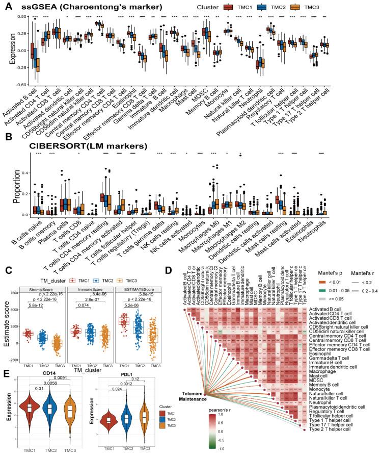 https://cdn.ncbi.nlm.nih.gov/pmc/blobs/5e99/11064253/b0d9ea885268/jcav15p3227g003.jpg