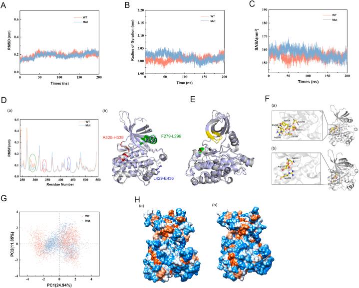 https://cdn.ncbi.nlm.nih.gov/pmc/blobs/5e99/11791283/cf08029e2189/gr3.jpg