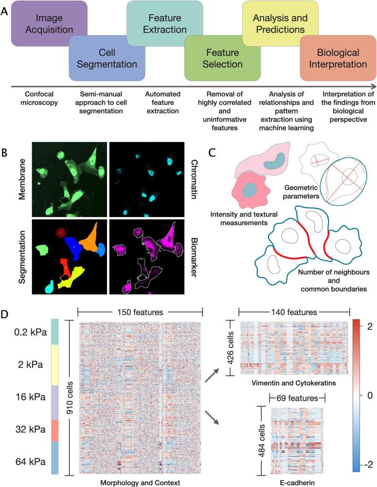 https://cdn.ncbi.nlm.nih.gov/pmc/blobs/5e99/8336795/a38549bfd02a/pcbi.1009193.g002.jpg