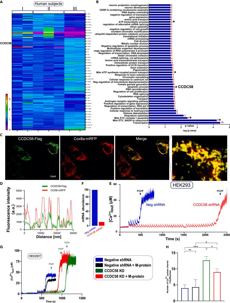 https://cdn.ncbi.nlm.nih.gov/pmc/blobs/5e99/8762478/6ea18e69d196/gr3.jpg