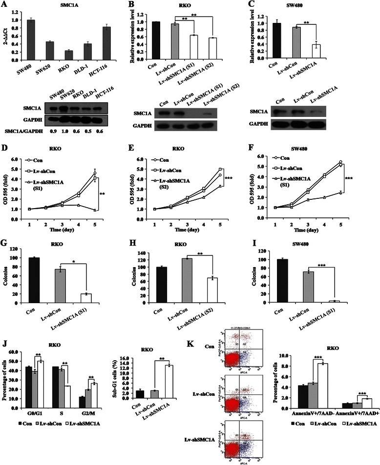 https://cdn.ncbi.nlm.nih.gov/pmc/blobs/5e9a/4352287/6946534b46fb/12885_2015_1085_Fig2_HTML.jpg