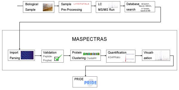 https://cdn.ncbi.nlm.nih.gov/pmc/blobs/5e9b/1906842/898824ffd506/1471-2105-8-197-1.jpg