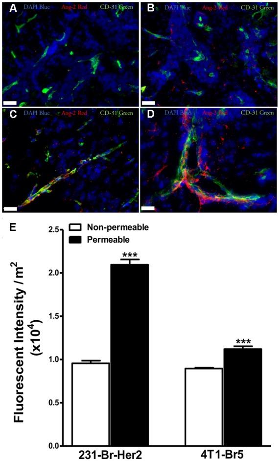 https://cdn.ncbi.nlm.nih.gov/pmc/blobs/5e9c/5387068/d3d0267087ef/fphar-08-00193-g002.jpg
