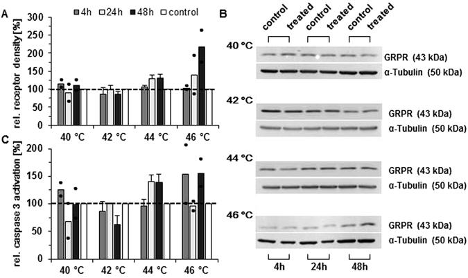 https://cdn.ncbi.nlm.nih.gov/pmc/blobs/5e9e/5537297/93d3fe502ae5/41598_2017_6100_Fig1_HTML.jpg