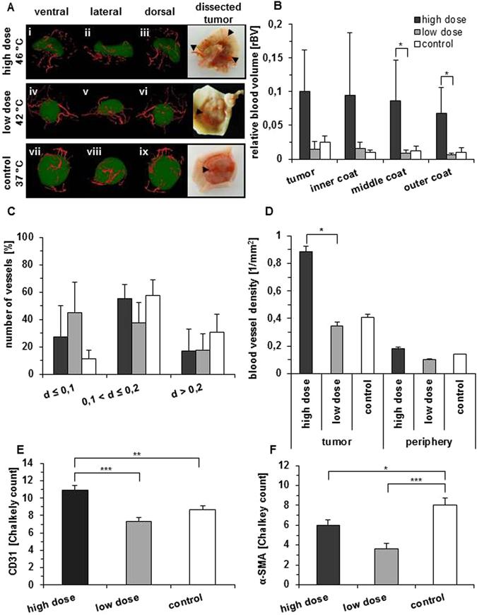 https://cdn.ncbi.nlm.nih.gov/pmc/blobs/5e9e/5537297/a67292ef32ff/41598_2017_6100_Fig4_HTML.jpg