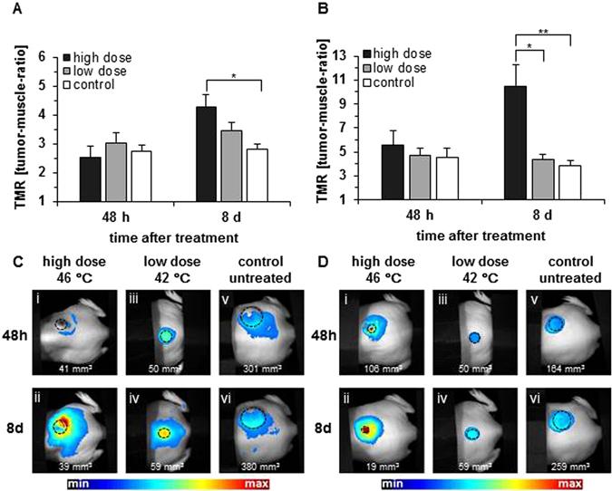 https://cdn.ncbi.nlm.nih.gov/pmc/blobs/5e9e/5537297/a880bd924a6b/41598_2017_6100_Fig2_HTML.jpg