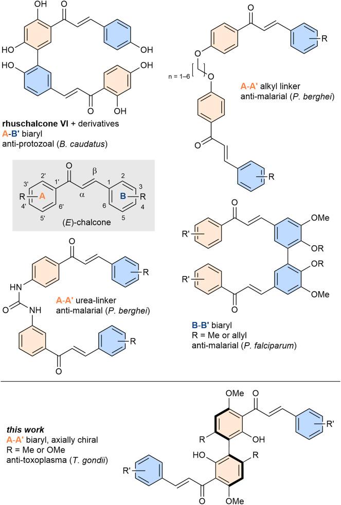 https://cdn.ncbi.nlm.nih.gov/pmc/blobs/5e9f/11298430/4a9d64a65488/fchem-12-1406307-g001.jpg