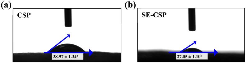 https://cdn.ncbi.nlm.nih.gov/pmc/blobs/5ea1/12252297/a7684e3bf0f2/polymers-17-01779-g007.jpg