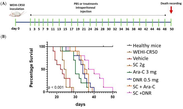 https://cdn.ncbi.nlm.nih.gov/pmc/blobs/5ea2/12347066/2bfdf86eca91/ijms-26-07468-g007.jpg