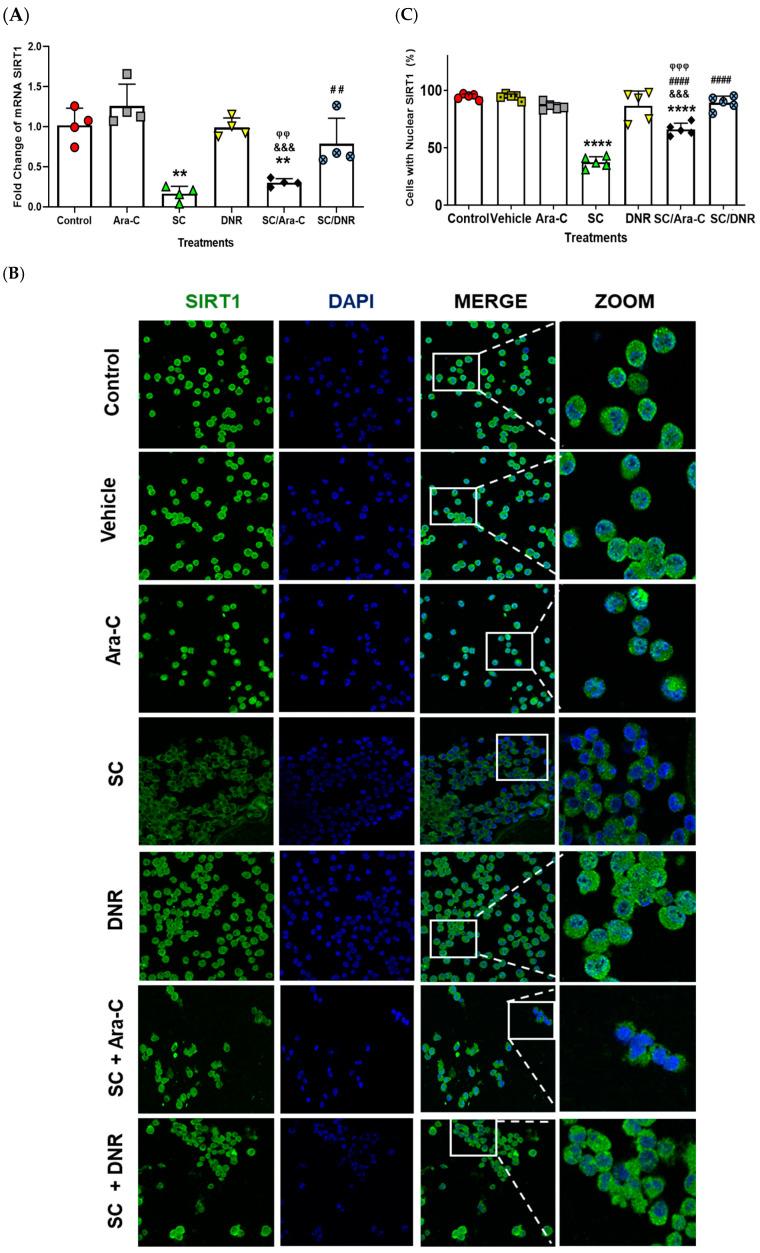 https://cdn.ncbi.nlm.nih.gov/pmc/blobs/5ea2/12347066/7f58963111f6/ijms-26-07468-g004.jpg