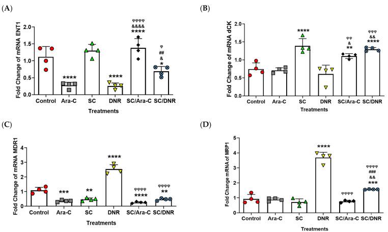 https://cdn.ncbi.nlm.nih.gov/pmc/blobs/5ea2/12347066/fe88511e1d81/ijms-26-07468-g005.jpg