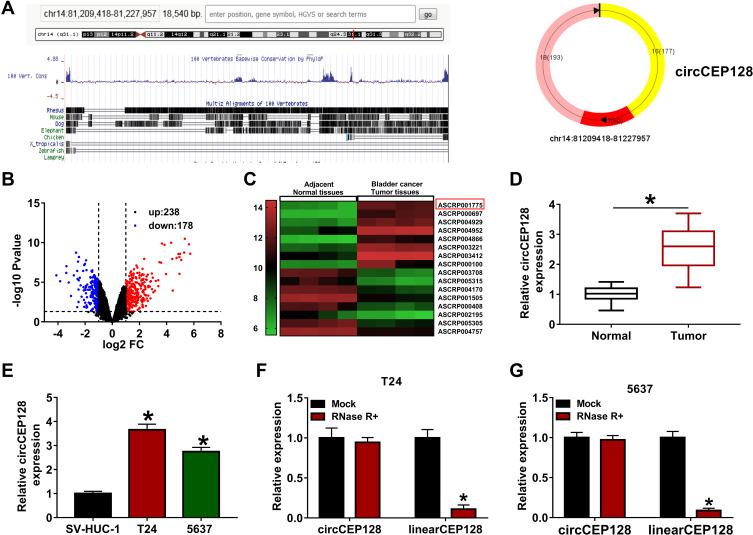 https://cdn.ncbi.nlm.nih.gov/pmc/blobs/5ea2/8020055/198f500a3939/CMAR-13-2885-g0001.jpg