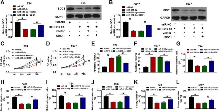 https://cdn.ncbi.nlm.nih.gov/pmc/blobs/5ea2/8020055/f7736cefdd0e/CMAR-13-2885-g0006.jpg