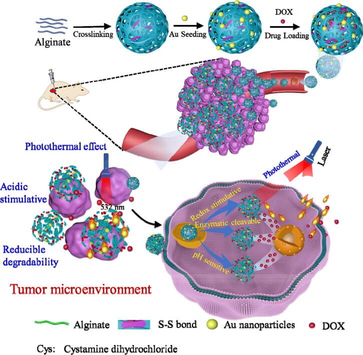 https://cdn.ncbi.nlm.nih.gov/pmc/blobs/5ea2/9578448/060ca1b16ccb/IDRD_A_2128469_SCH0001_C.jpg