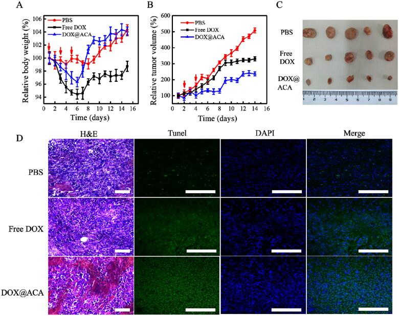 https://cdn.ncbi.nlm.nih.gov/pmc/blobs/5ea2/9578448/5efbf24b586e/IDRD_A_2128469_F0005_C.jpg