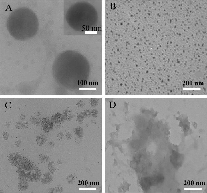 https://cdn.ncbi.nlm.nih.gov/pmc/blobs/5ea2/9578448/b406a2913c20/IDRD_A_2128469_F0002_B.jpg