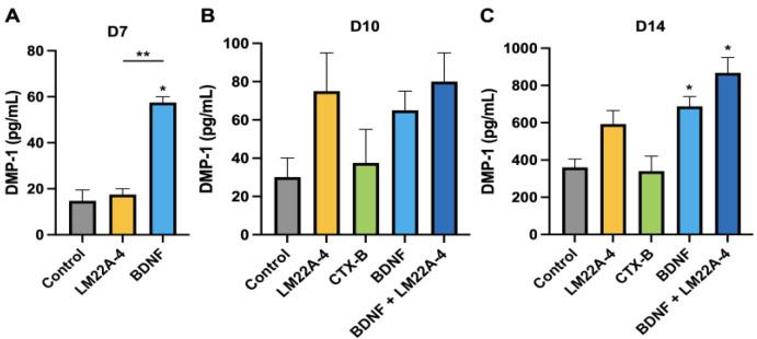 https://cdn.ncbi.nlm.nih.gov/pmc/blobs/5ea4/10378460/5154d7a5f0b2/cells-12-01851-g005.jpg