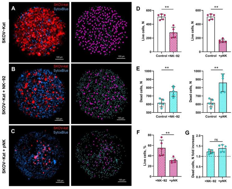 https://cdn.ncbi.nlm.nih.gov/pmc/blobs/5ea4/11504426/242144556736/biomedicines-12-02398-g002.jpg