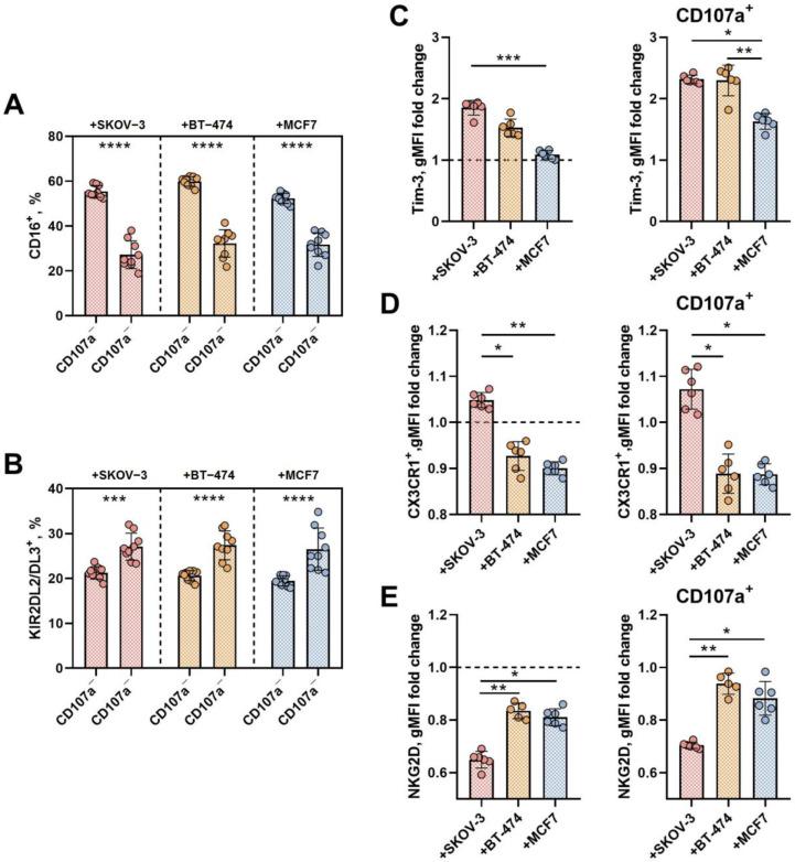 https://cdn.ncbi.nlm.nih.gov/pmc/blobs/5ea4/11504426/c9bcec04ee73/biomedicines-12-02398-g005.jpg