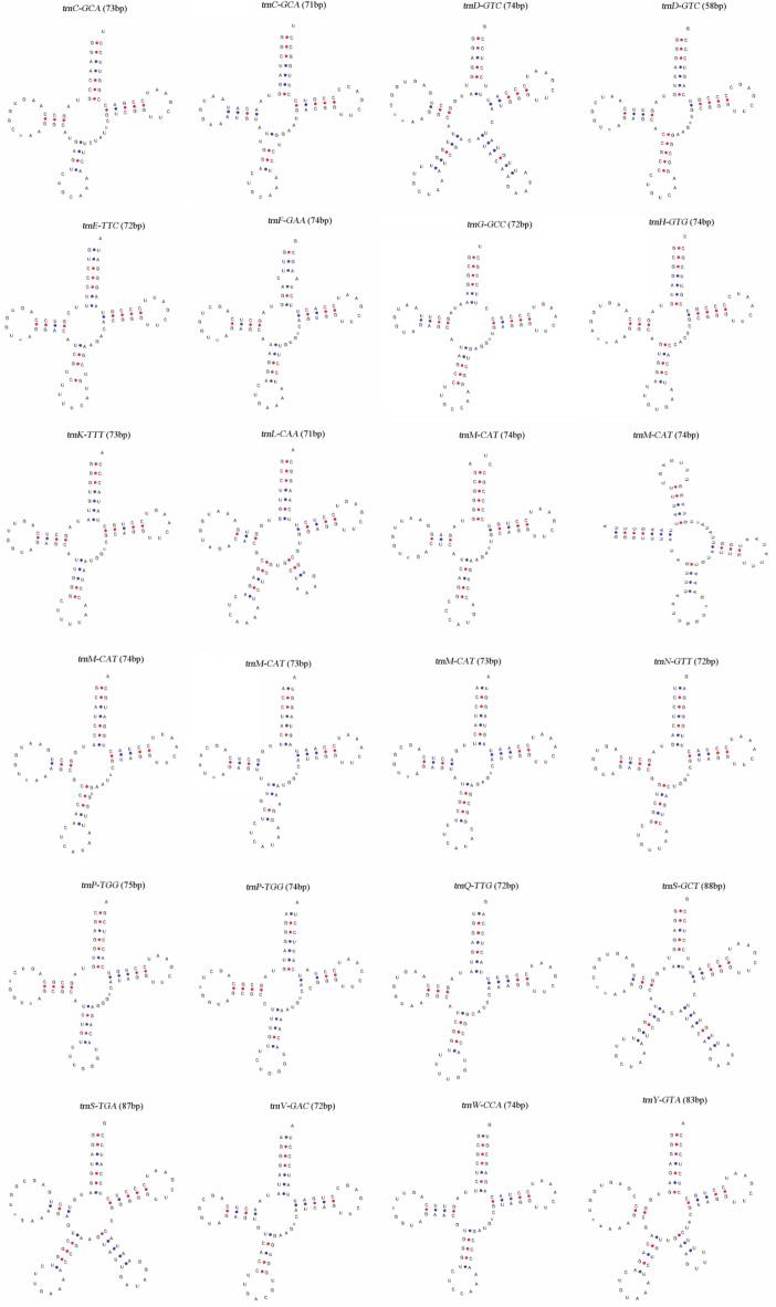 https://cdn.ncbi.nlm.nih.gov/pmc/blobs/5ea4/11576845/340e5208120a/41598_2024_75324_Fig2_HTML.jpg