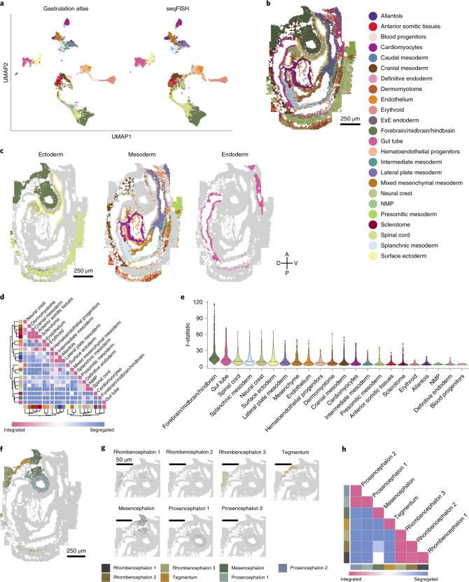 https://cdn.ncbi.nlm.nih.gov/pmc/blobs/5ea7/8763645/3fc12290daa3/41587_2021_1006_Fig2_HTML.jpg