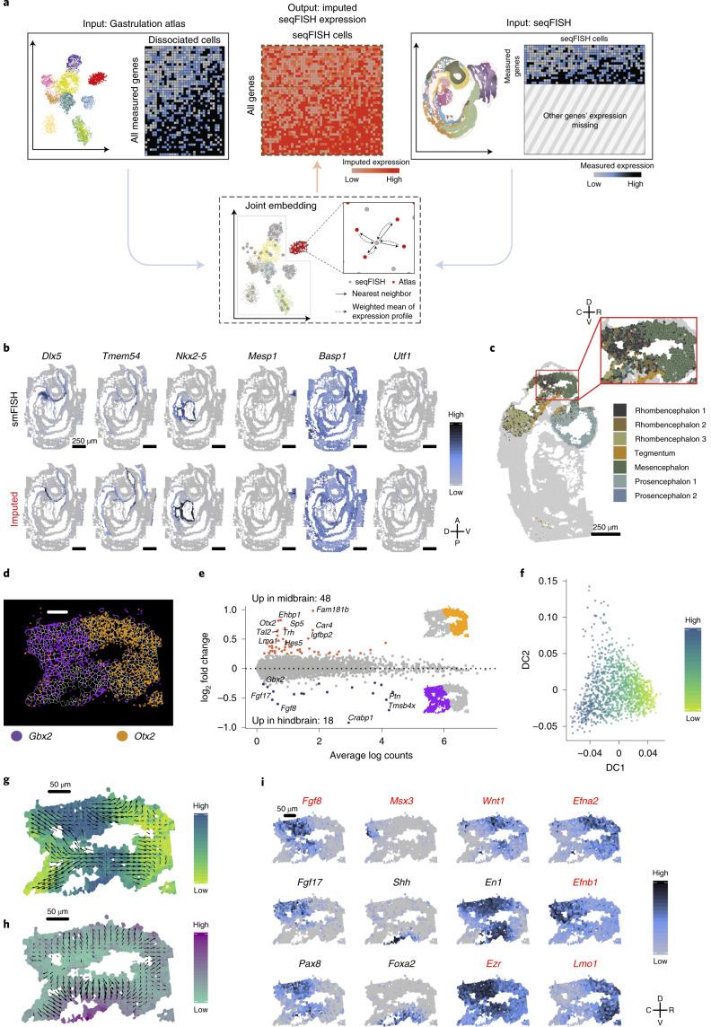 https://cdn.ncbi.nlm.nih.gov/pmc/blobs/5ea7/8763645/6c6d6d2db42e/41587_2021_1006_Fig3_HTML.jpg
