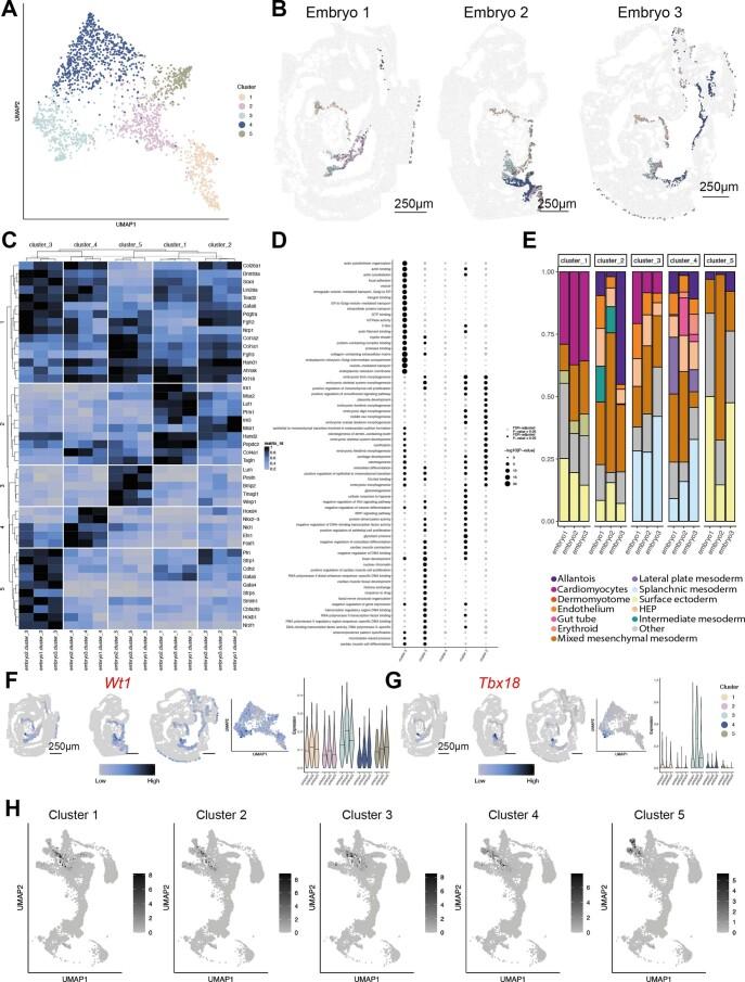 https://cdn.ncbi.nlm.nih.gov/pmc/blobs/5ea7/8763645/82d64fc83170/41587_2021_1006_Fig10_ESM.jpg